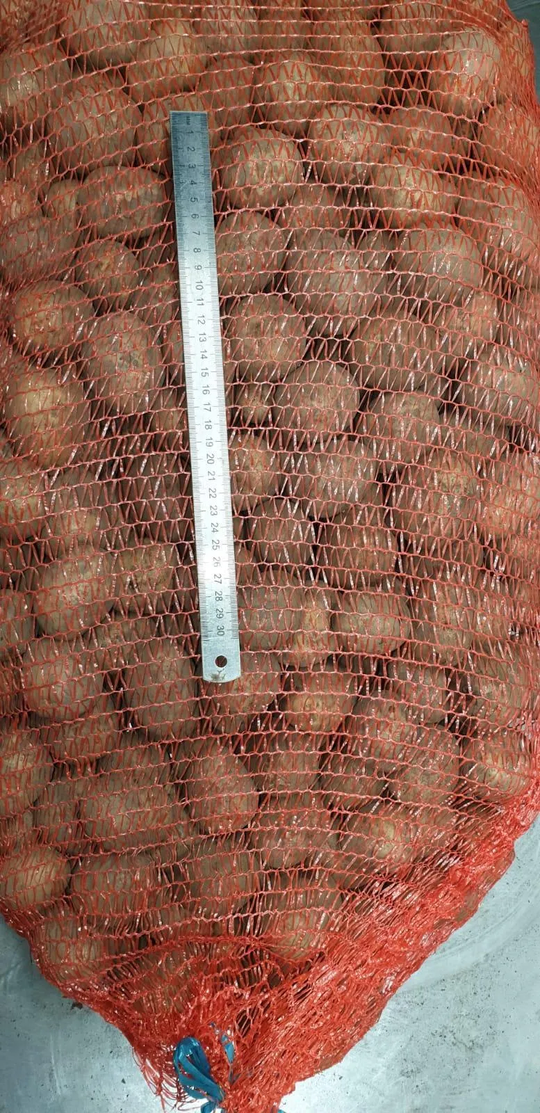 картофель калибр 30-50 в Новоалтайске
