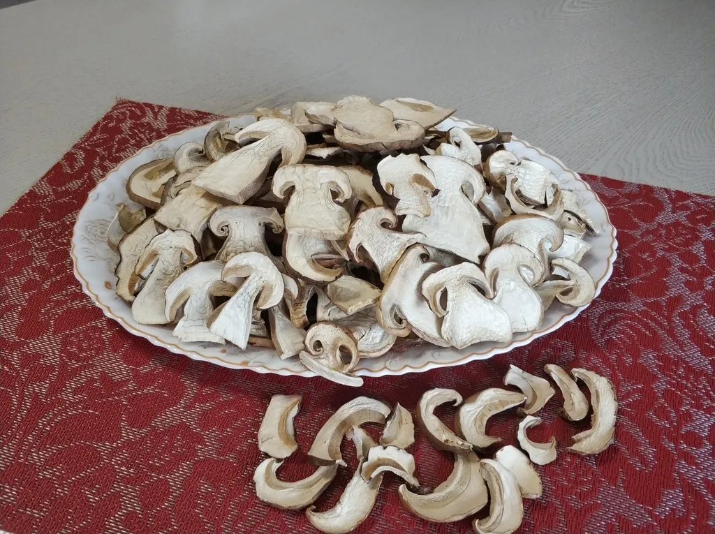 грибы белые сухие в Барнауле 2