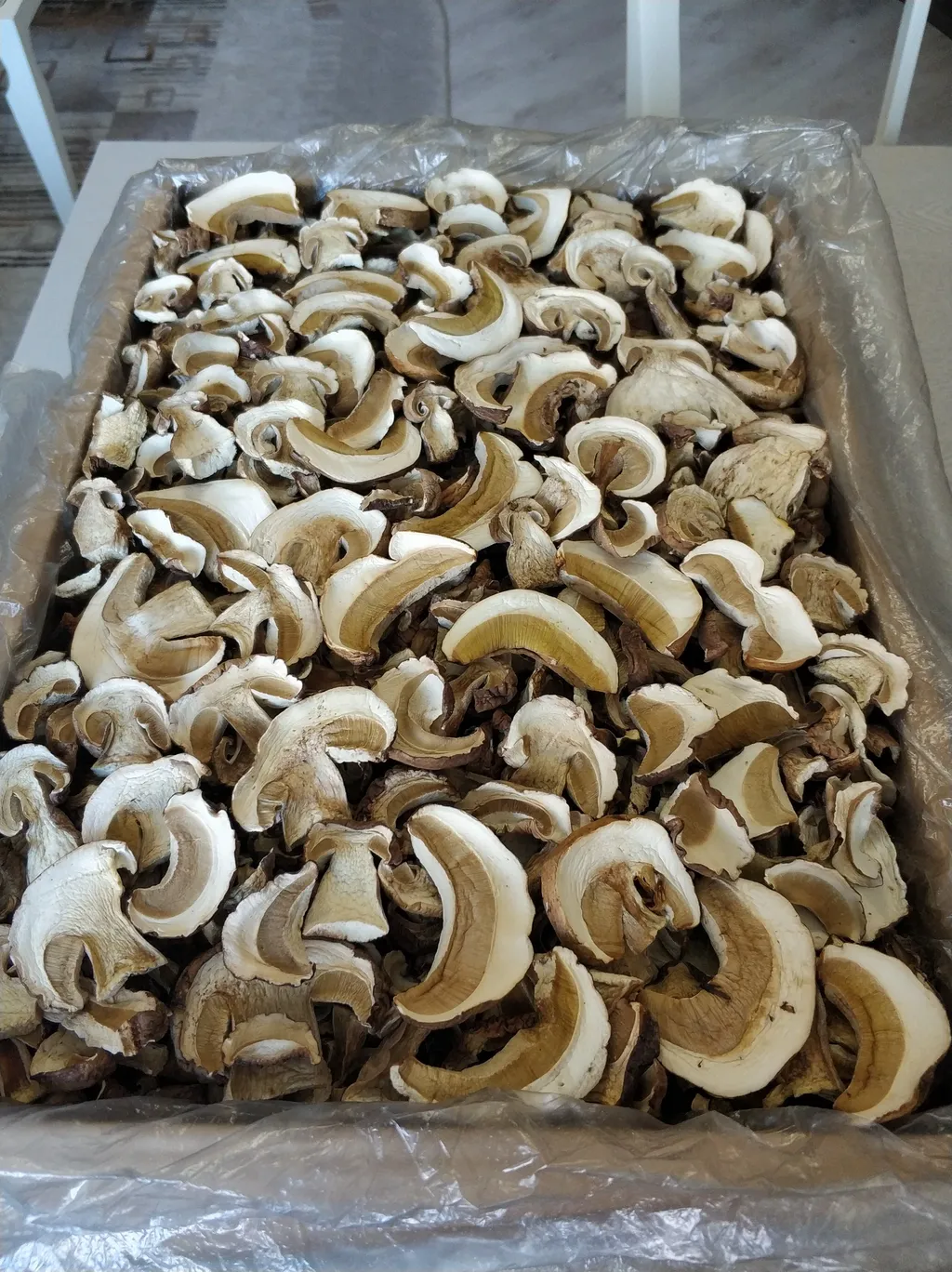 грибы белые сухие в Барнауле